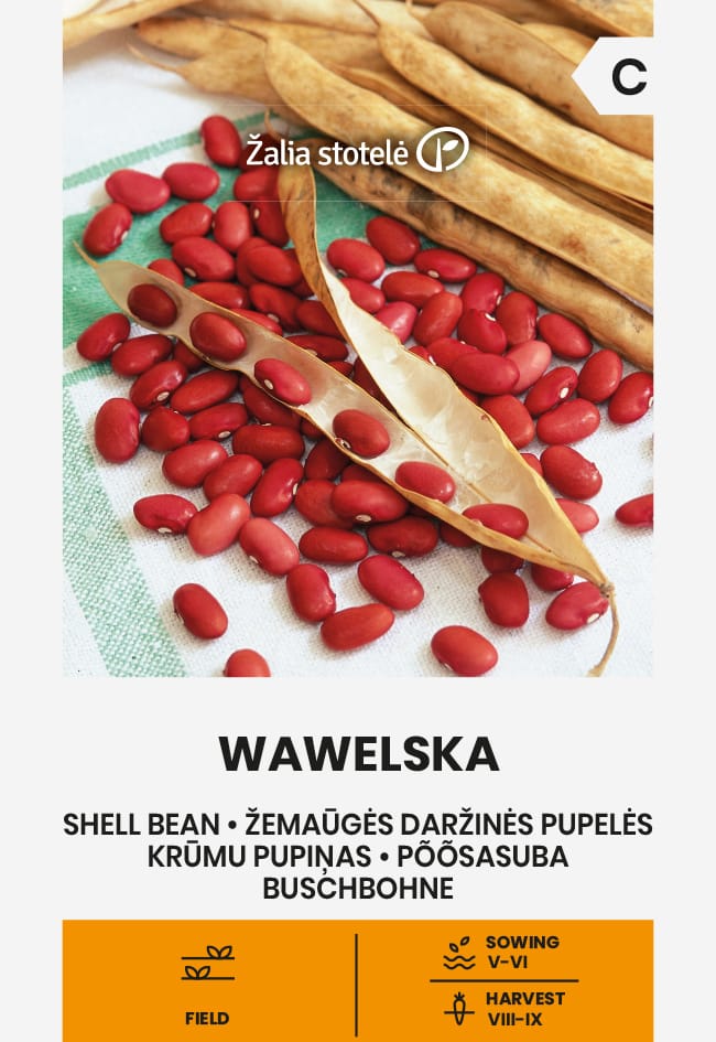 ŽEMAŪGĖS DARŽINĖS PUPELĖS WAWELSKA