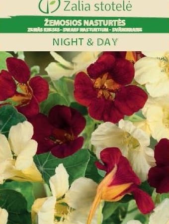 ŽEMOSIOS NASTURTĖS NIGHT & DAY