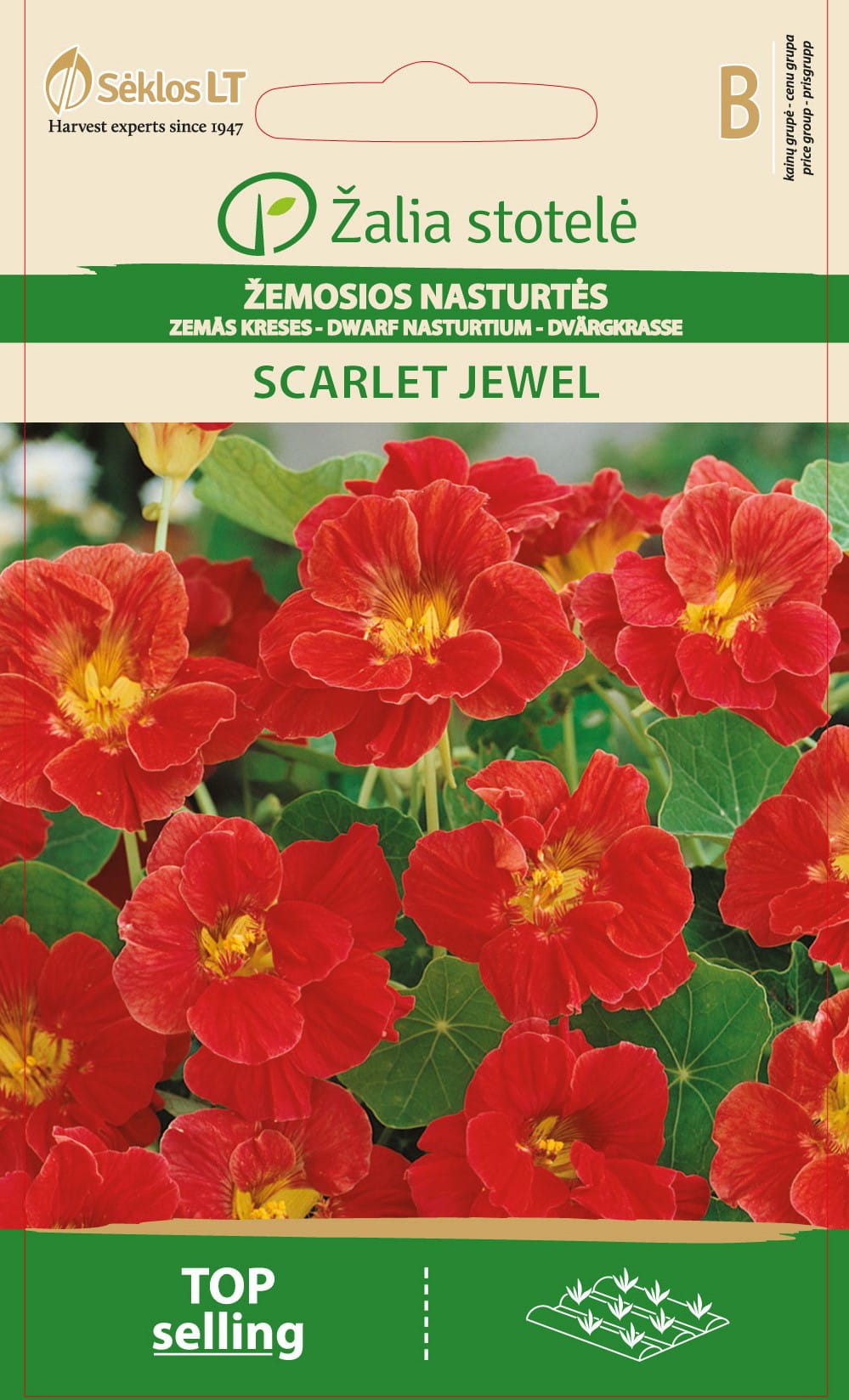 ŽEMOSIOS NASTURTĖS SCARLET JEWEL