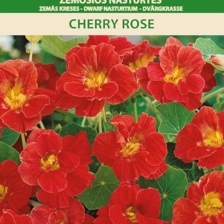 ŽEMOSIOS NASTURTĖS СHERRY ROSE