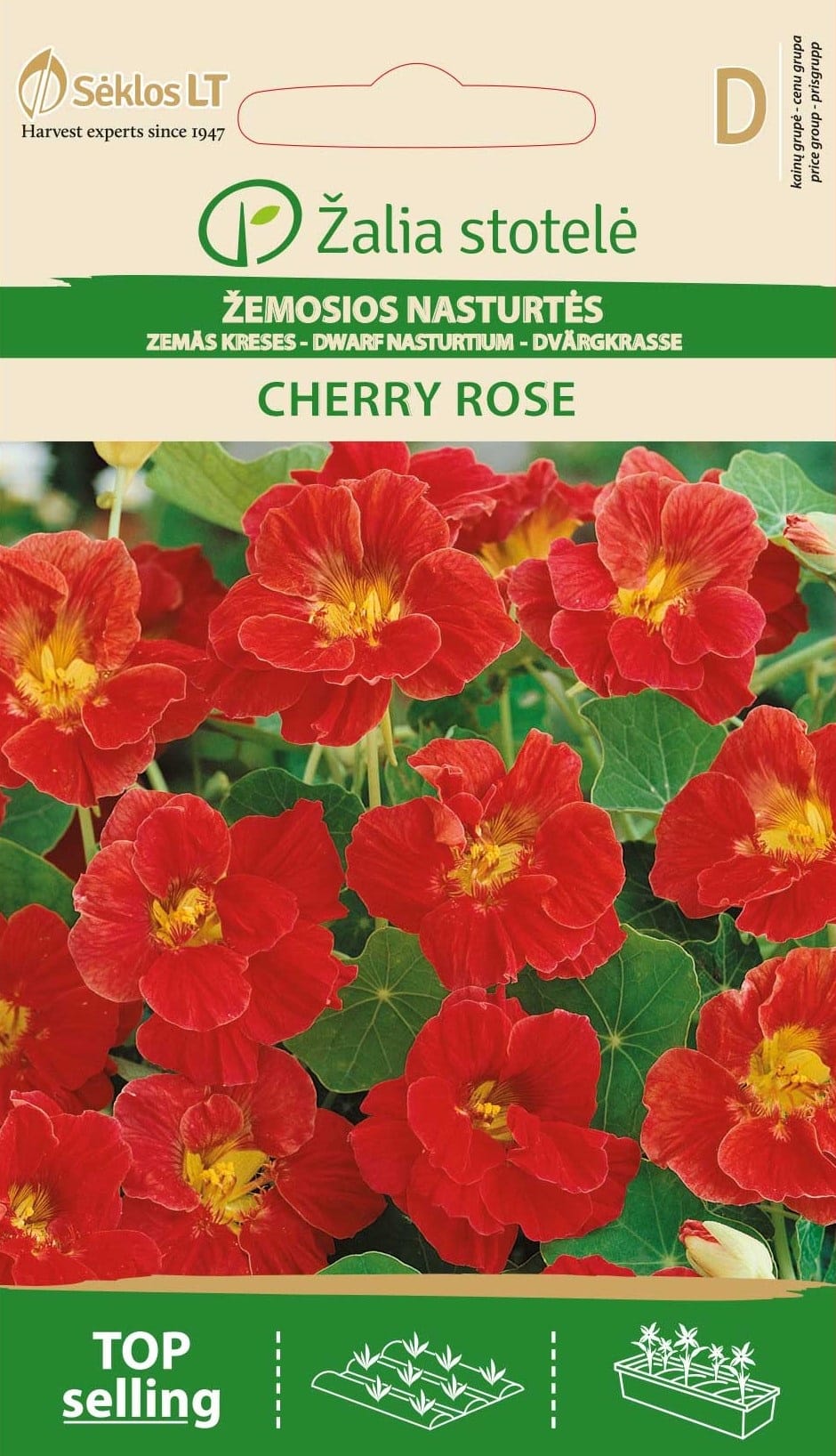 ŽEMOSIOS NASTURTĖS СHERRY ROSE