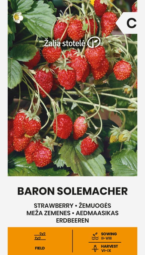ŽEMUOGĖS BARON SOLEMACHER