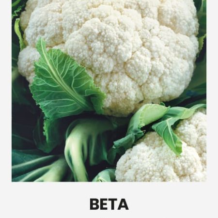 ŽIEDINIAI KOPŪSTAI BETA