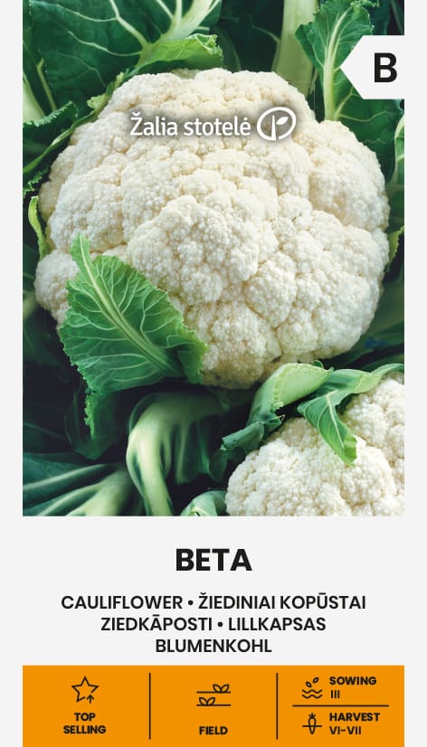 ŽIEDINIAI KOPŪSTAI BETA
