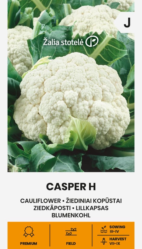 ŽIEDINIAI KOPŪSTAI CASPER H
