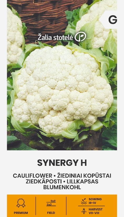 ŽIEDINIAI KOPŪSTAI SYNERGY H