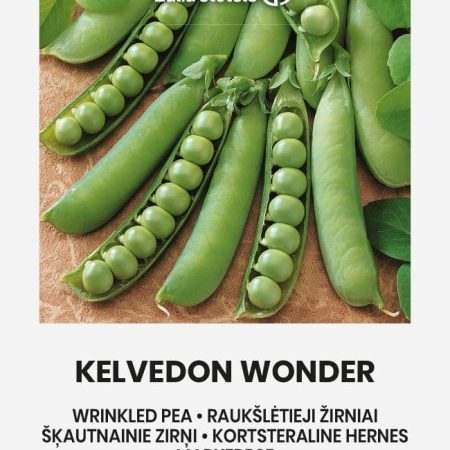 ŽIRNIAI RAUKŠLĖTIEJI KELVEDON WONDER